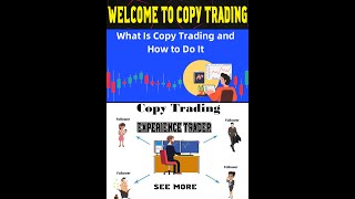 DSA Copy Trading [upl. by Nathanael]