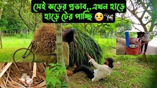 সেই ঝড়ের প্রভাবএখন হাড়ে হাড়ে টের পাচ্ছি 😥🐄 [upl. by Aettam866]