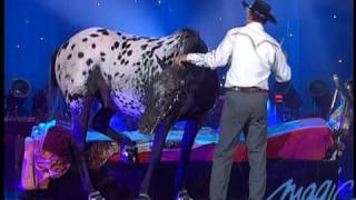 Tony Hocheger  Le cheval  LE PLUS GRAND CABARET DU MONDE [upl. by Econah]