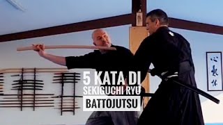 Estrarre e colpire con la spada giapponese 5 tecniche di Sekiguchi Ryu Battojutsu [upl. by Collum]