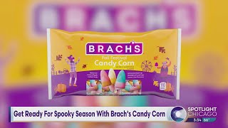 Get Ready For Spooky Season With Brachs Candy Corn [upl. by Drucy]