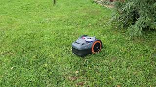 segway navimow i110  my favorite robot mower [upl. by Ahselrac]