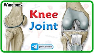 Knee Joint Anatomy Animation  Bones Ligaments Menisci Innervation Blood supply and Movements [upl. by Claribel]