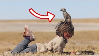 A WILD MEERKAT CRAWLED ONTO OUR BOYS HEAD IN BOTSWANA [upl. by Nailuj872]