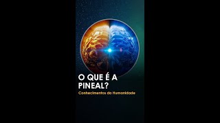 Qual é a função da glândula PINEAL shorts [upl. by Arondel]