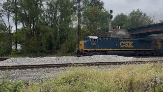 CSX 7564 CM44AH leads CSX Manifest under trestle in Kenova WV [upl. by Nnairet833]