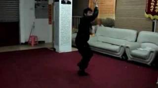 GSL Ma Weiqi Baguazhang [upl. by Endora847]