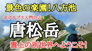 【登山】景色の楽園！八方池と雲上の別世界！唐松岳 白馬三山の大絶景と山頂からは立山連峰！【北アルプス】【唐松岳】 [upl. by Iain]