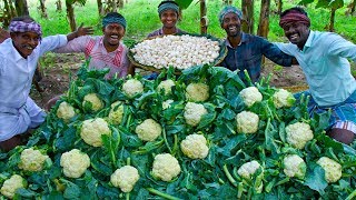 CAULIFLOWER amp MUSHROOM Cooking  Crispy Mushroom 65 and CauliFlower 65 Recipe  Easy Veg Fry Recipes [upl. by Raffo]