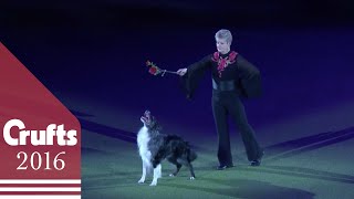 Mary Rays Heelwork to Music Performance at Crufts 2016 [upl. by Llesig28]