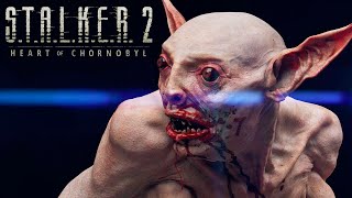 STALKER 2 РУССКАЯ ОЗВУЧКА ИГРЫ  ПРО ПЕРЕНОС СТАЛКЕР 2 [upl. by Llednov323]