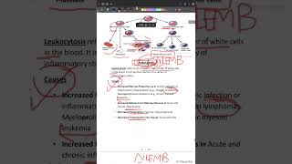 PATHOLOGYLeukocytosis Lymphangitis LN enlargement Splenomegaly [upl. by Nevanod567]