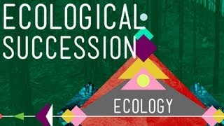 Ecological Succession Change is Good  Crash Course Ecology 6 [upl. by Akimrehs]