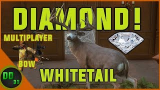 The ULTIMATE DIAMOND CHALLENGE Multiplayer Bow TheHunter Call of the Wild 2019 [upl. by Sharos]