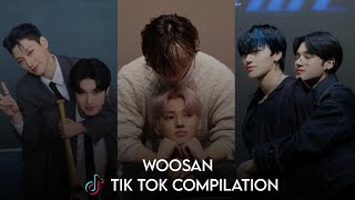 woosan tiktok compilation alt yazılı [upl. by Amadis]