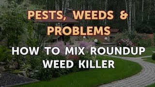 Quick Tip Is DIY vinegar weed killer better than Roundup [upl. by Newmark]