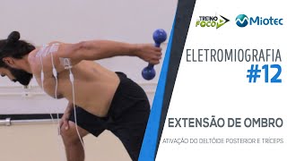 Ativação Muscular na Extensão de Ombros  Deltoide Posterior e Tríceps  Eletromiografia 12 [upl. by Leiram224]