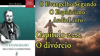 O divórcio  Capítulo 222  Evangelho Segundo o Espiritismo  Audiobook [upl. by Nedda]