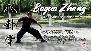 Bagua Zhang Ten Minute Primer  Foundational Basic Skills Part 4 [upl. by Eire304]