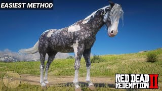 The Best Horse in Red Dead Redemption 2  Missouri Fox Trotter Silver Dapple Pinto  RDR2  PS4 Slim [upl. by Anola]