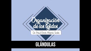 Tipos de tejido  Glándulas [upl. by Shantha]