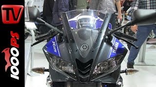 Yamaha YZFR125 mit Akrapovic 2014 [upl. by Airpal60]