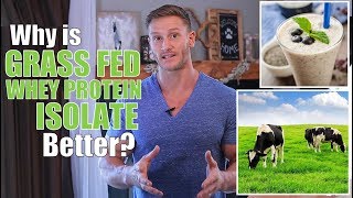 Best Transparent Labs GrassFed Whey Protein Flavors [upl. by Adiaroz]