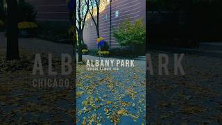 Cool Sunny Day 101924 chicago viralvideo free [upl. by Ailisab370]