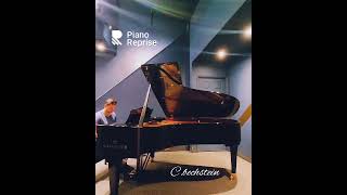 Bechstein Piano piano bechstein pianotuning grandpiano [upl. by Sonia]