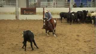 Versatility Ranch Horse and Cowboy Mounted Shooting World Championship Show [upl. by Eibbed]