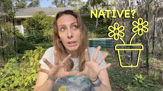 10 Native Plants You Can Easily Grow in Pots [upl. by Yhtur458]