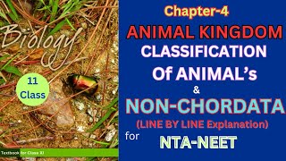 Class 11 Animal kingdom NonChordatesncertbiology Harunbiozone [upl. by Gayn731]