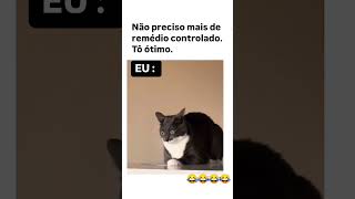 EU NO MEU DIA MAIS CONTROLADO KKKK memes meme [upl. by Bish149]