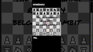 tal vsavarbakh 1954chess شطرنج belgradegambit sacrifice grandmaster tactics  25p1 [upl. by Astto]