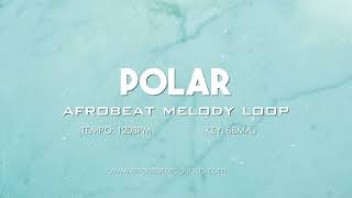 FREE DOWNLOAD Afrobeat Melody Sample No Drums 100 Royalty Free  MIDI Loop  quot POLAR quot [upl. by Niwde]