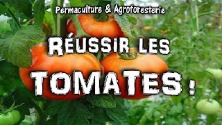 COMMENT PLANTER LES TOMATES AU JARDIN POTAGER EN PERMACULTURE  ASTUCES amp TUTEURER [upl. by Akenaj635]