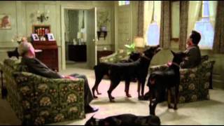 Dobermans in movie  16 part 2  Доберманы в кино [upl. by Laidlaw871]