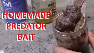 Homemade Coyote and Fox Bait for Trapping Predators [upl. by Barnabe30]