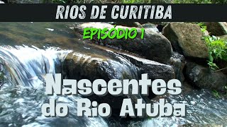 RIOS DE CURITIBA  Episódio 1 Arroio Cachoeira e as nascentes do Rio Atuba curitiba rios [upl. by Georg]