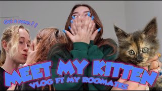 MEET MY KITTEN VLOG I ZOI LERMA [upl. by Allets902]