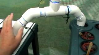 Keep two aquaponic tanks the same level with a U syphon [upl. by Aviv]