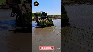 Paddy cultivation machine shorts viral kubota agriculture khetibadi [upl. by Ativak]