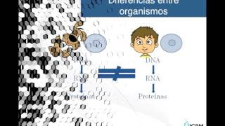 El Dogma de la biología Molecular [upl. by Aicinet]