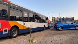 Not In Service Buses Arriving at Farlington Depot  2162022 [upl. by Karlik415]