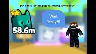 Testing Pet Sim X Pog Cat Fusing techniques [upl. by Conlan224]