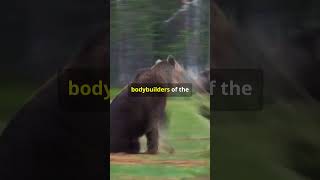 Brown Bear vs Black Bear Which is Worse [upl. by Nyrehtac860]