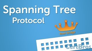 Spanning Tree Protocol Explained  Step by Step [upl. by Attelrahs]