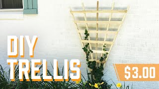 DIY Garden Trellis [upl. by Wetzell]