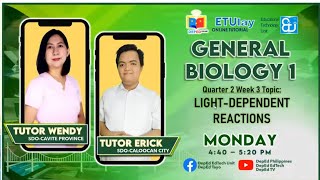 LightDependent Reactions  General Biology 1  Quarter 24 Week 3 [upl. by Novled592]