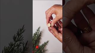 DIY Easy Mini Christmas Tree Idea 🎄 [upl. by Ebba965]